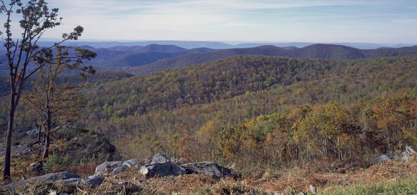 Forested Blue Ridge hills in early autumn color, seen from The Point Overlook on Skyline Drive in Shenandoah National Park.